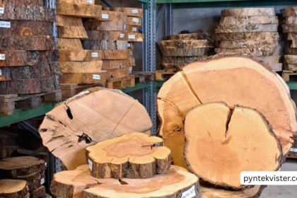 baumscheiben
